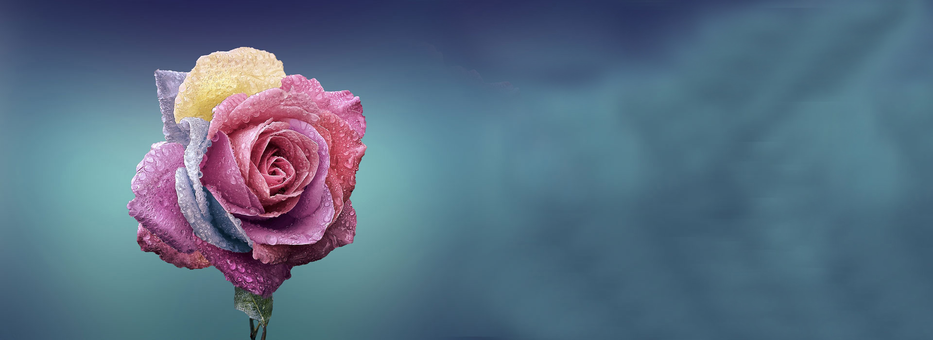 Realizacja nietypowych zamówień